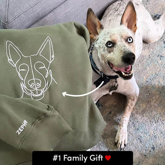 Pawfect Embroidered Sweatshirt & Hoodie